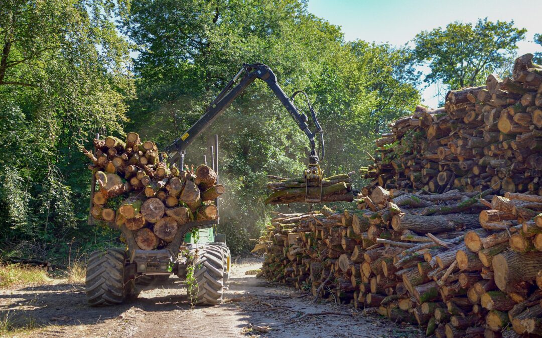 Travaux d’abattage d’arbres – CR141 Pafebierg/Mompach