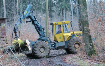 Travaux d’abattage d’arbres entre Girst et le croisement CR 370/CR 372 (Dickweiler)