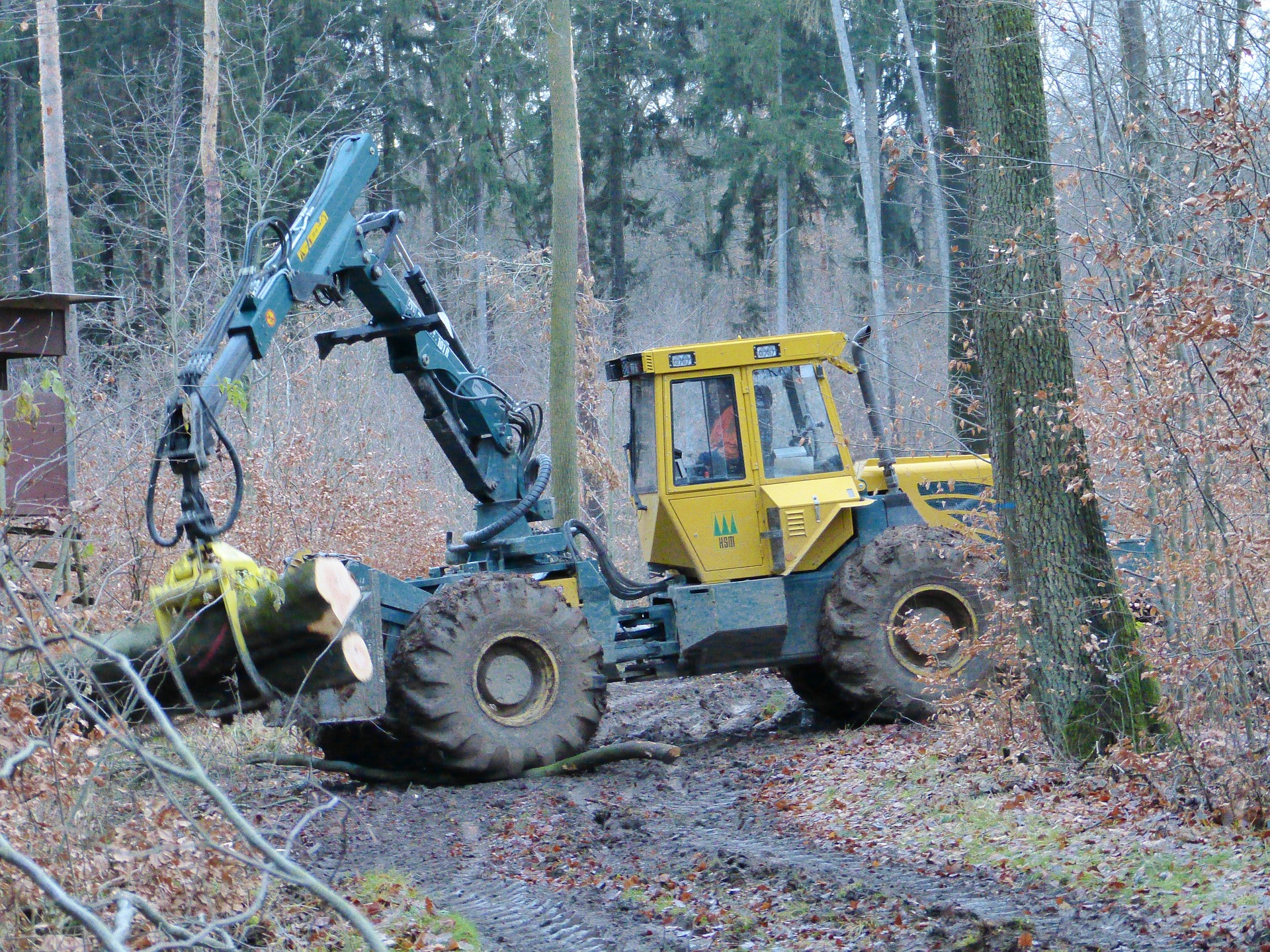 Travaux d'abattage d'arbres entre Girst et le croisement CR 370/CR 372 (Dickweiler)